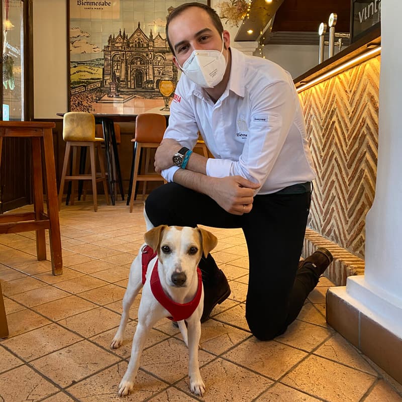 Bar 'pet friendly' en Antequera